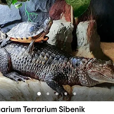 Apartamento Center *