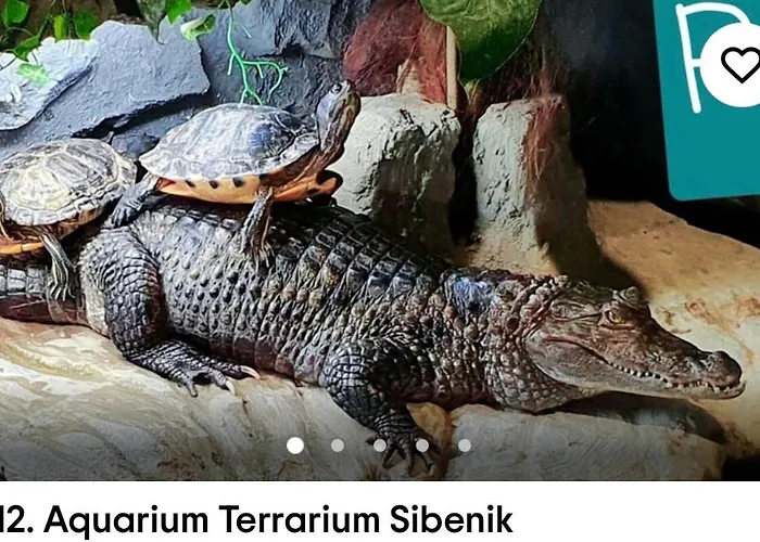 Apartment Top City Center Apartments *